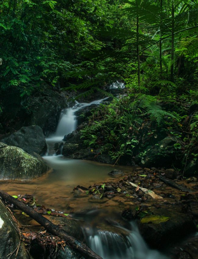 pexels-keshanvidu95-4185785